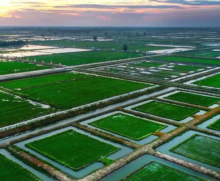 青岛水滴生物科技有限公司